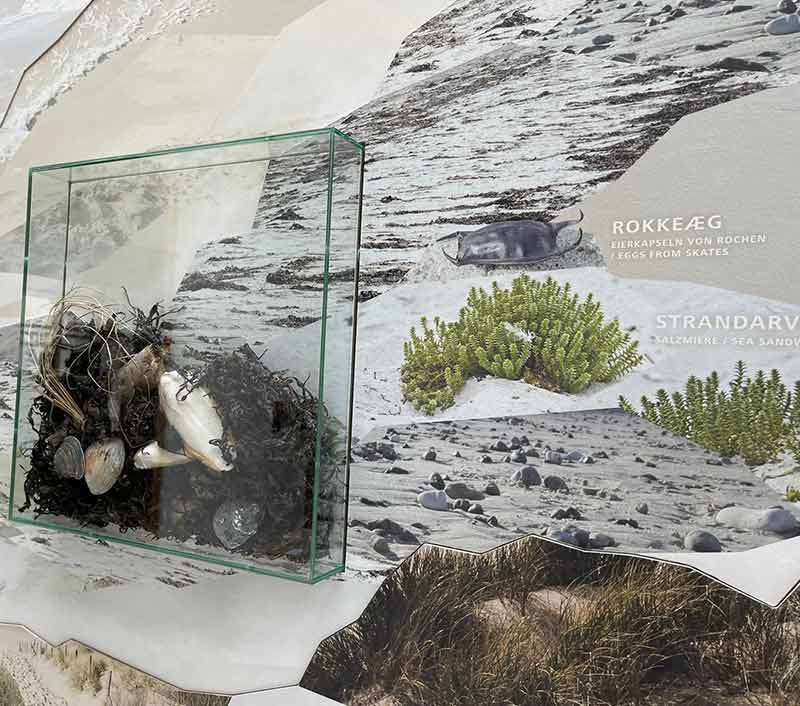 Nationalparkcenter Thy